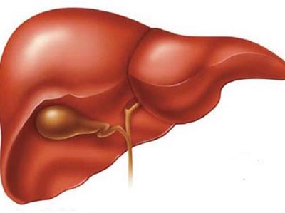 3大原因引起肝囊腫 其症狀不容忽視