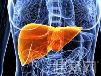 專家告訴你肝囊腫是怎樣形成的