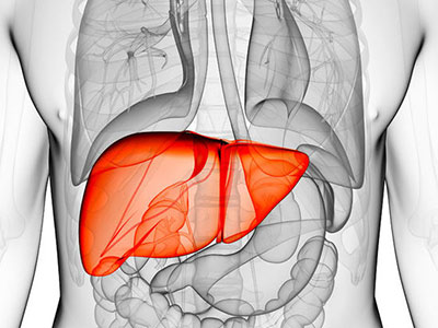 原發性肝癌的早期症狀都有哪些？