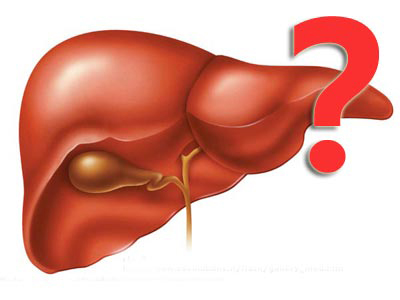 為何會出現急慢性等不同肝炎症狀