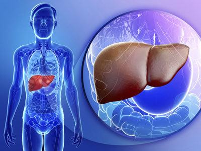 急性重型肝炎有廣泛出血現象