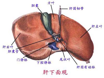 肝病患者出現這些情況，說明病情正在惡化