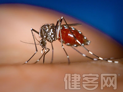 蚊蟲叮咬會不會傳染乙肝？