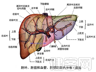 肝功能反復異常要警惕病情惡化