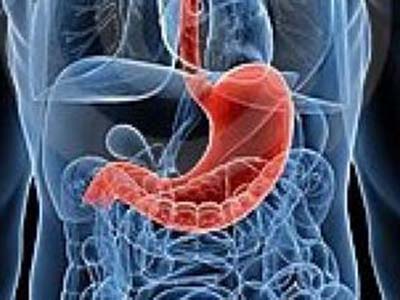 “腸肝對話”帶來了肝髒疾病治療的新領域