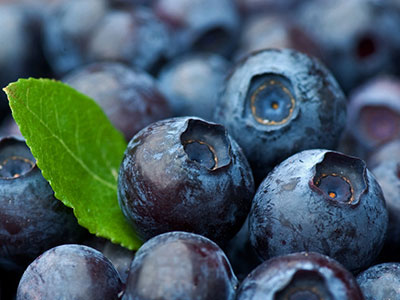 藍莓對非酒精性脂肪性肝病小鼠肝細胞核因子相關因子2表達的影響