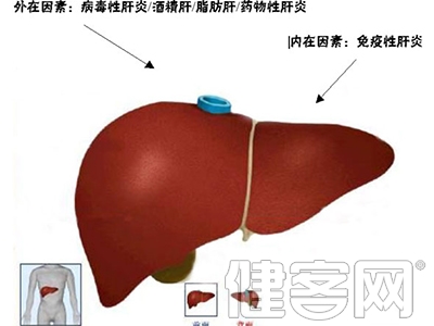 兒童、孕婦乙肝患者治療新原則