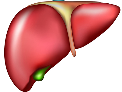 血脂康可阻止脂肪在肝髒中沉積？