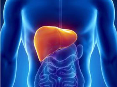 肝功能出現異常是哪種病 哪些食物是不可以吃的