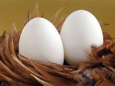 肝纖維化要適量吃雞蛋 日常要嚴格禁忌一件事