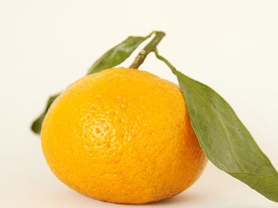 預防肝硬化的福音 香蕉橘子給你保駕護航