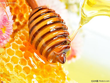 乙肝患者食用蜂蜜好處多