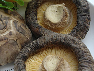 吃蘑菇可以讓肝癌不能靠近