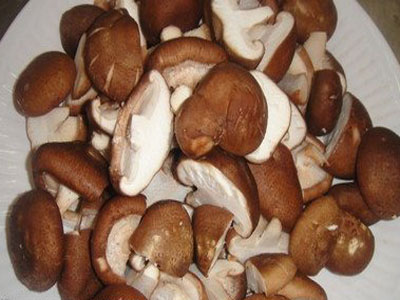 多吃香菇對肝癌的治療有大益處