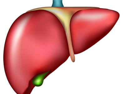 阿米巴肝膿腫的預防措施