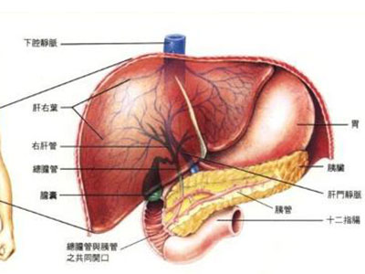 預防戊肝傳染有何措施