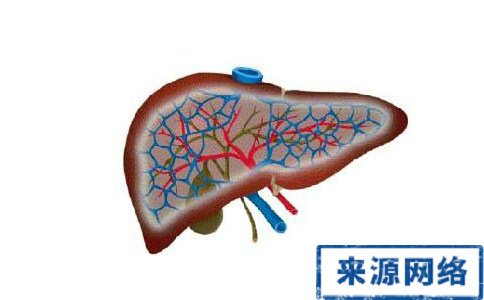 中毒性肝炎的原因 中毒性肝炎的症狀 中毒性肝炎的治療方法