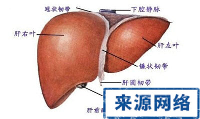 肝病惡化 肝病惡化表現 肝病征兆