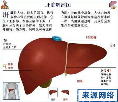 急性肝炎 慢性肝炎 肝炎表現 肝炎症狀