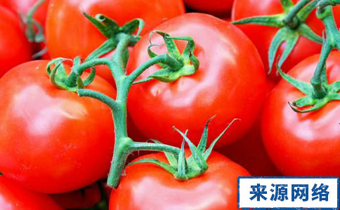 常吃番茄的好處 怎樣保護肝髒 保護肝髒的食物