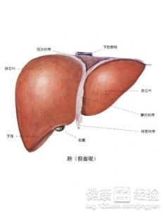 乙肝檢查需要注意哪些問題?