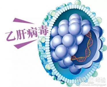 乙型肝炎病毒應該如何進行消毒處理呢？