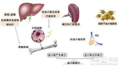 第1步