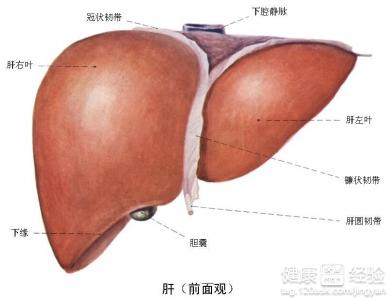 肝硬化患者的養身指南