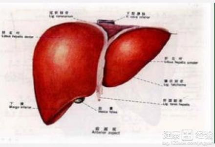 膽汁性肝硬化飲食禁忌