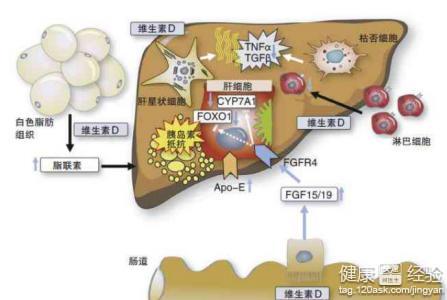 第2步