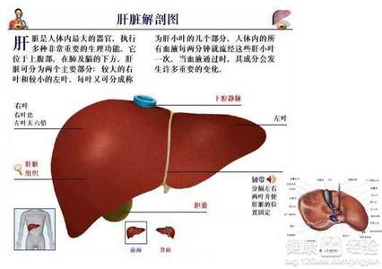 脂肪肝的臨床診斷方法