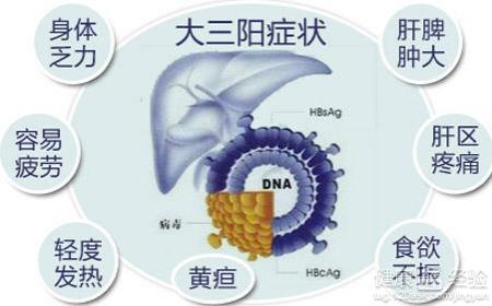 莫掉入乙肝大三陽4圈套3措施阻斷病毒侵擾