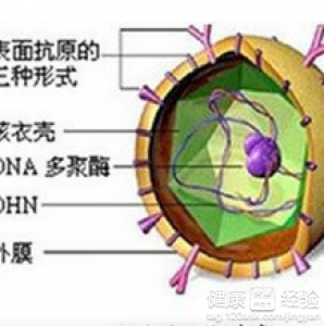 第2步