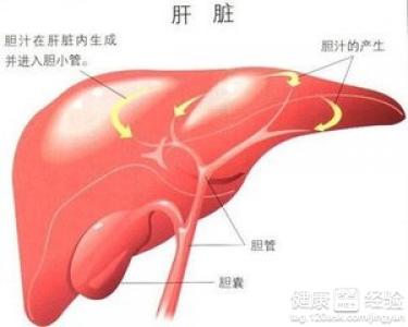 乙肝小三陽有偏方嗎