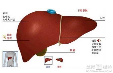 肝囊腫怎麼治療