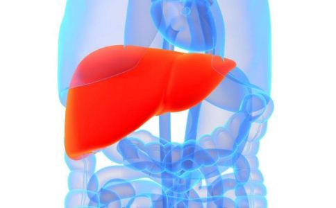 治療脂肪肝的方法 脂肪肝怎麼治療 脂肪肝的治療方法
