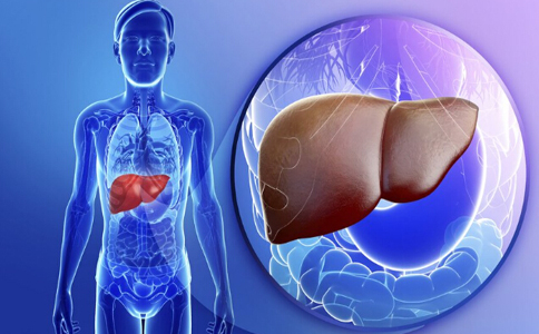 中醫如何治療脂肪肝 脂肪肝的飲食禁忌 脂肪肝如何治療