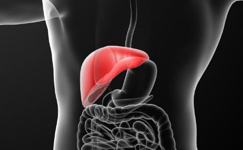 肝髒的早期症狀有哪些 肝病的症狀與表現 肝病如何治療