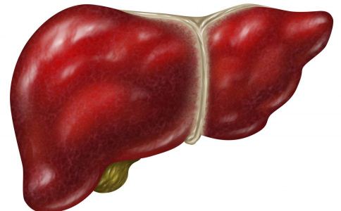 肝髒出現病理變化的表現 養肝護肝的方法 養肝護肝的注意事項