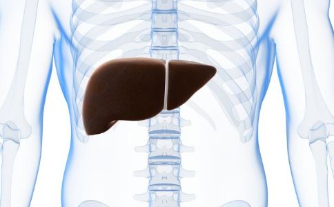肝髒出現病理變化的表現 養肝護肝的方法 養肝護肝的注意事項